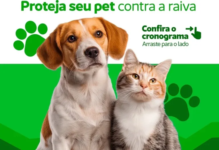 Prefeitura de Picos divulga cronograma da Campanha de Vacinação Antirrábica para cães e gatos nas zonas urbana e rural