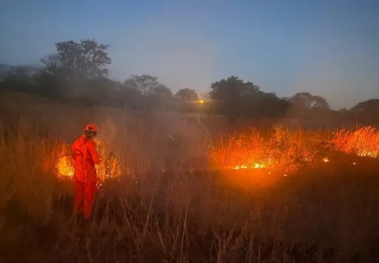 Corpo de Bombeiros registra quase 6 mil incêndios no Piauí e intensifica atendimentos em 2026